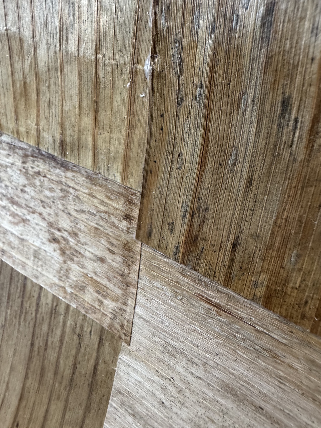 Banana leaf and bark grain, close detail
