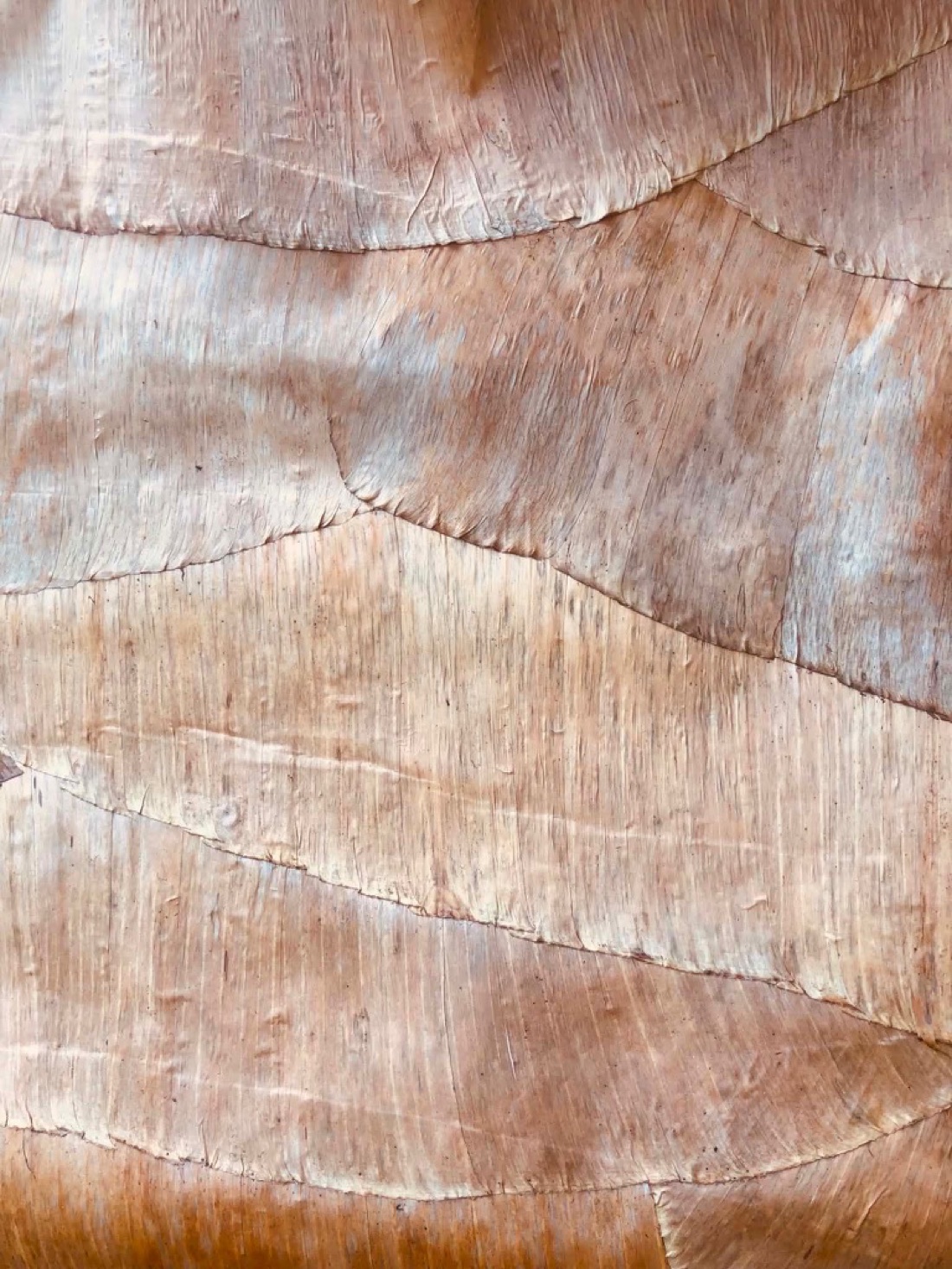 Close-up of a natural fiber wallcovering with softly layered tonal variation